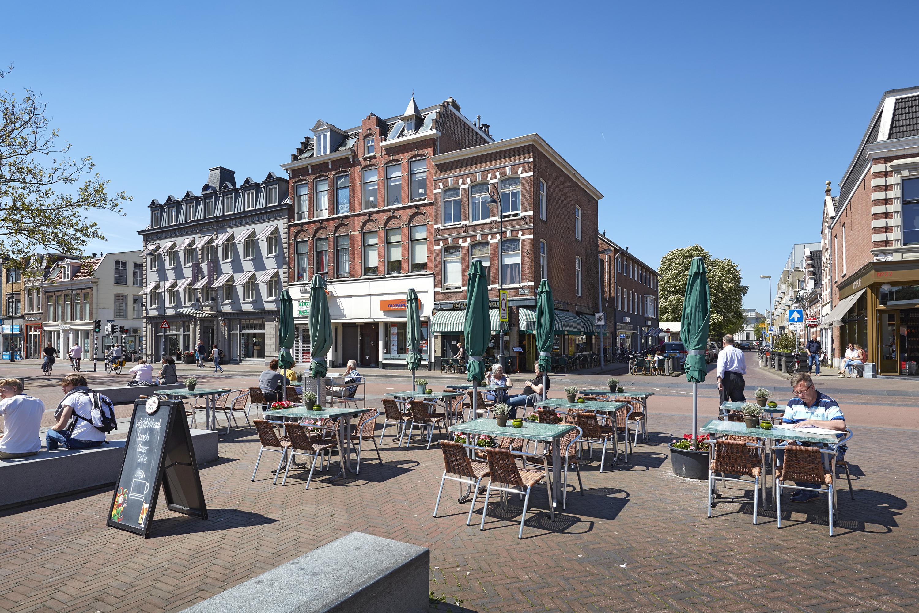 Lion D'or Haarlem